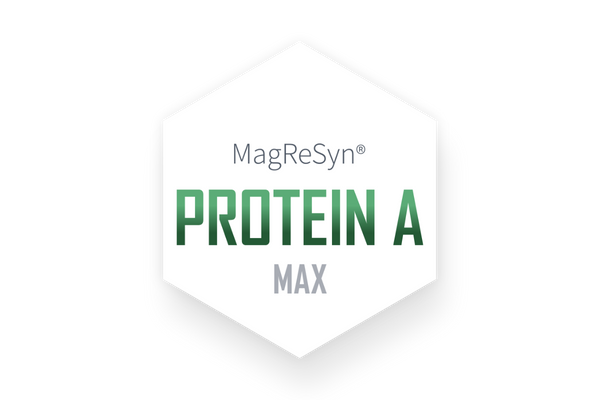 MagReSyn® Protein A MAX
