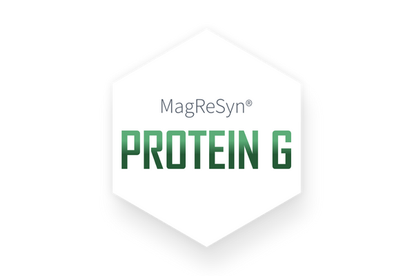 MagReSyn® Protein G