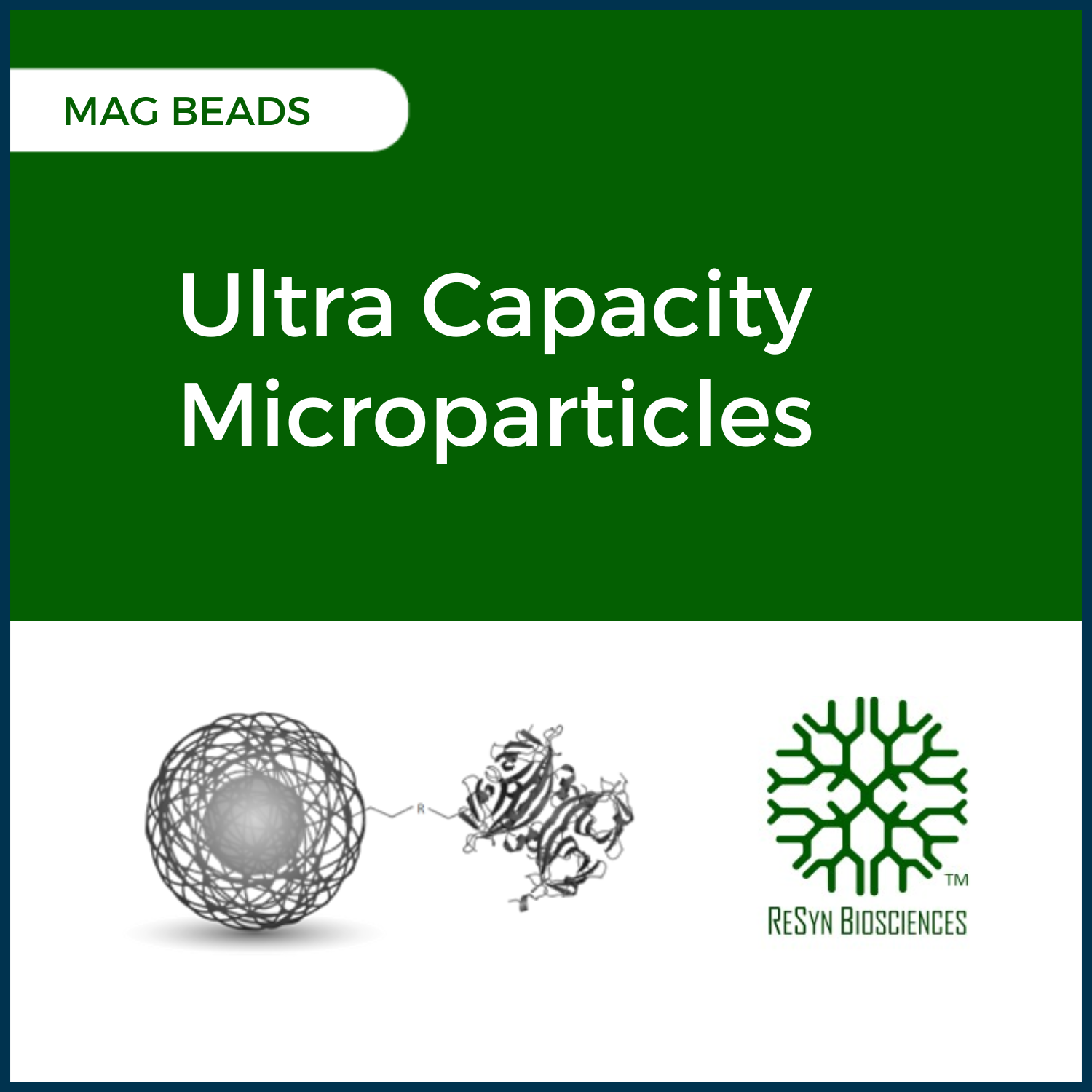 Ultra Capacity Microparticles Mag Beads