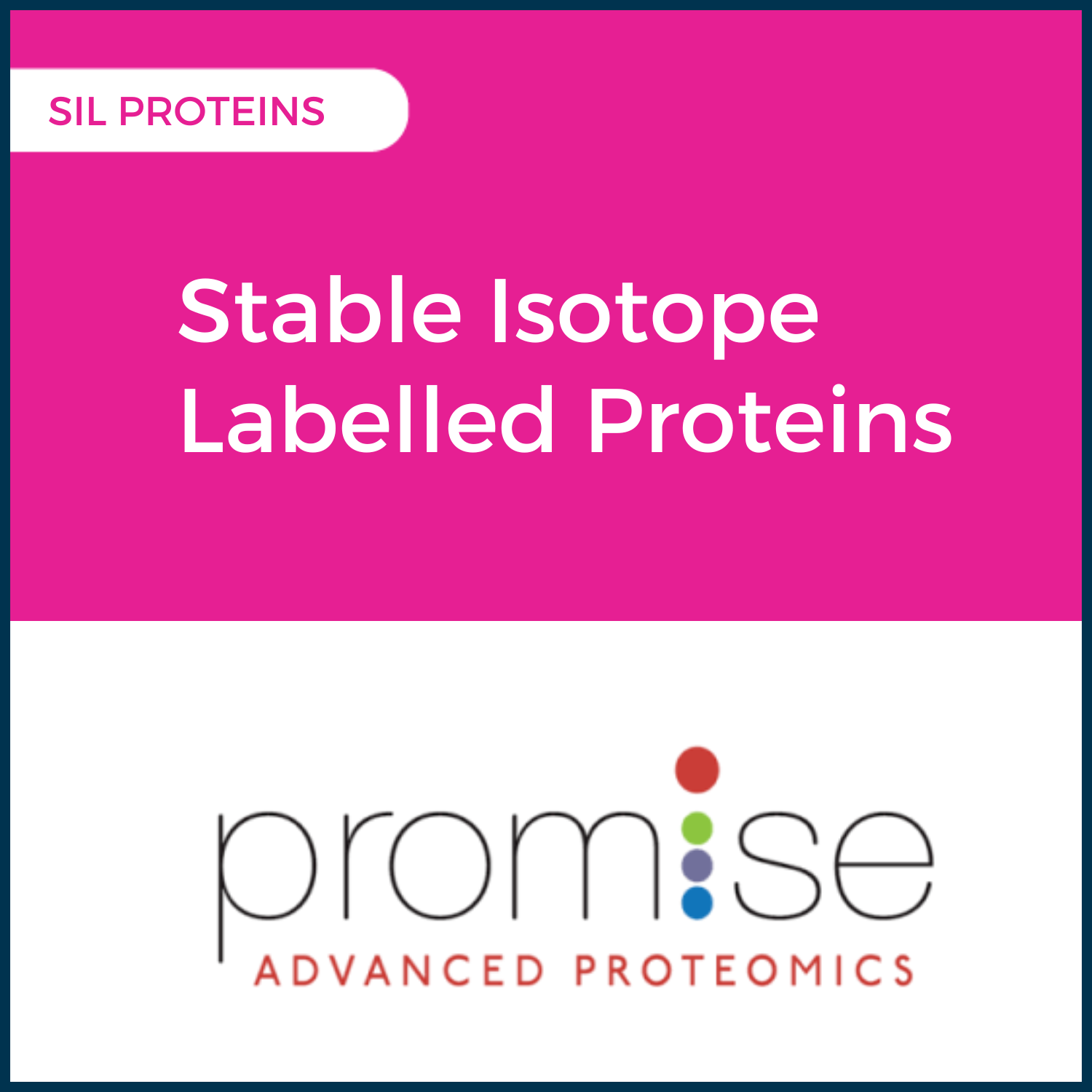 Stable Isotope Labelled SIL Proteins